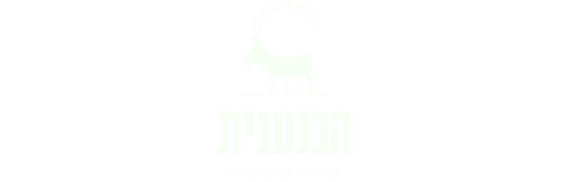 הכנענית